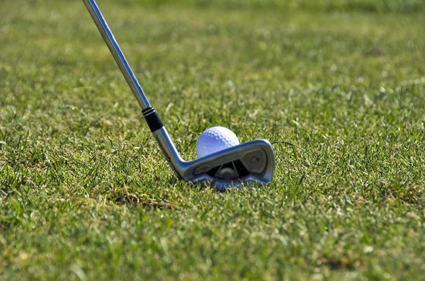 Piłeczki do golfa i kij z bliska — Zdjęcie stockowe