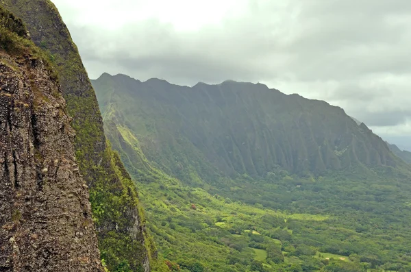 Hawaiian dağlar