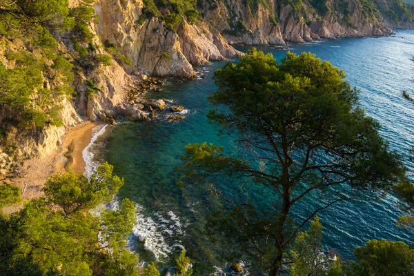 Cala futadera y pinos tr la costa brava