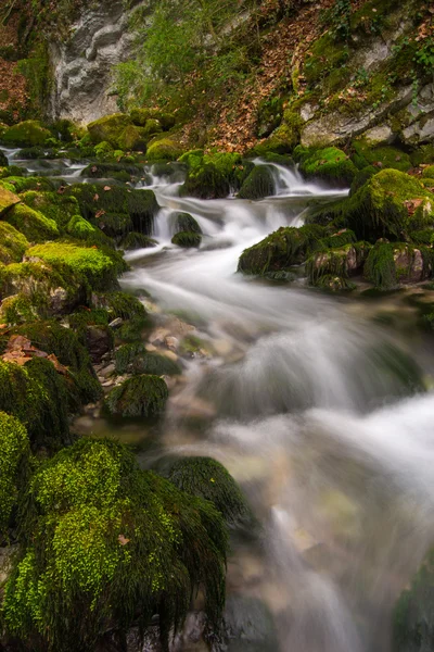 Nacimiento del río Bastareny. Cadi.