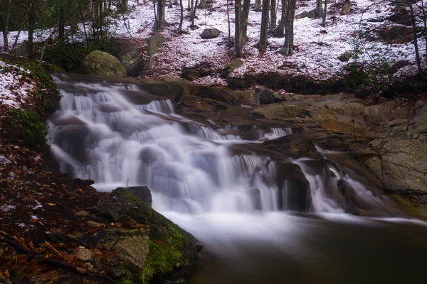 şelale karlı bir ormanda. Montseny.
