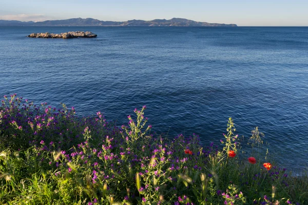 cargol rock ve çiçekler. L'Escala. Costa brava.