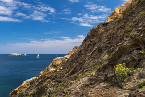 Cap de creus yelken yelkenli. Costa brava.