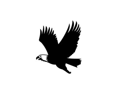 Uçan kartal vektör silueti