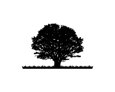 meşe ağacı siluet vektörü