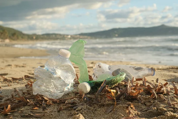 Kirlilik üzerine atılan plastik şişeler kirlenmiş okyanus kıyısı habitatı, çevresel atık