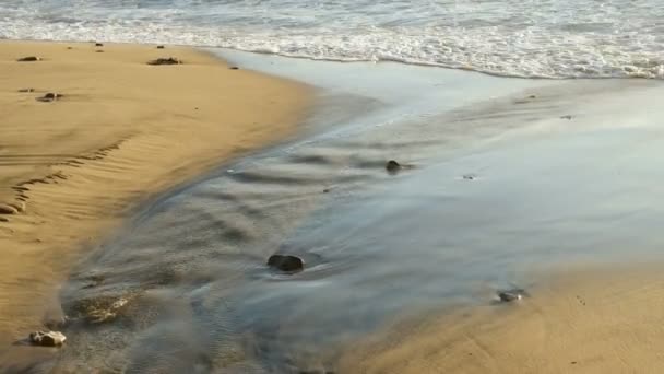 Descargas líquidas tóxicas e poluição do alcatrão no ecossistema marinho, contaminação do ambiente — Vídeo de Stock