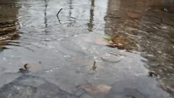 Gotas de lluvia cayendo sobre un charco de agua durante un día lluvioso de invierno, condiciones climáticas — Vídeo de stock