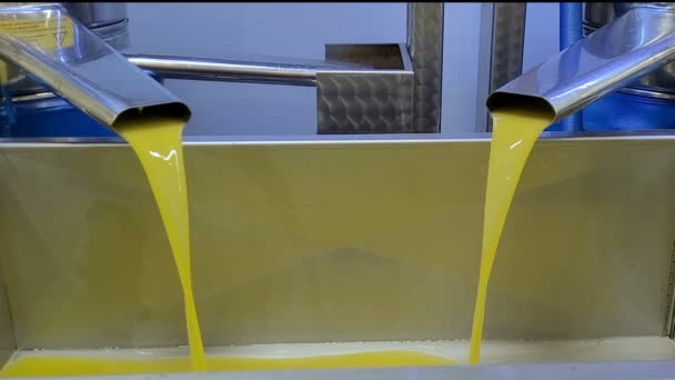 Olive oil milling machine working on cold press extraction in Italian extra virgin oil farm — Video Stock