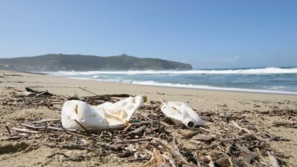 Gönüllü kadın kirli deniz ekosisteminde plastik atık topluyor, çevresel kirlilik — Stok video