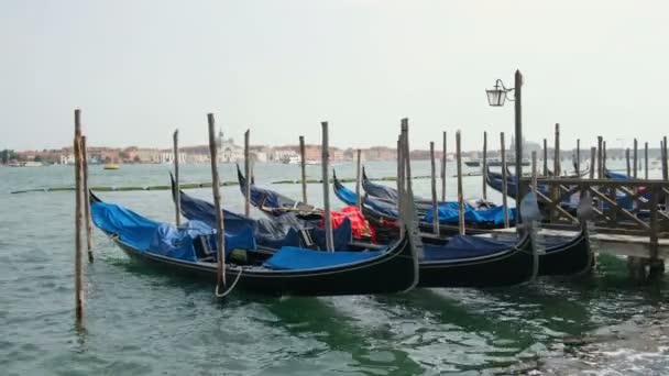 Historical Gondolas Parked Lagoon Dock Venice City Center Traditional Water — Stock Video