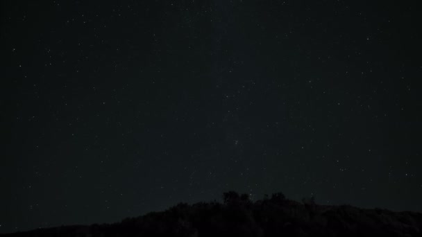Sílhueta Árvore Sobre Céu Estrelado Noite Com Movimento Estrelas Campo — Vídeo de Stock