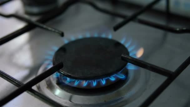 Methan Gas Kitchen Stove Closeup While Burning Renewable Energy Supplies — Stock Video