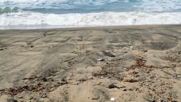 Micro Plásticos Poluição Alcatrão Costa Suja Mar Contaminação Resíduos Ambientais — Vídeo de Stock