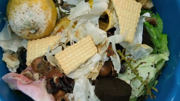 Überangebot Lebensmittelabfällen Die Den Mülleimer Geworfen Werden Konsumdenken Bioabfallkonzept — Stockvideo