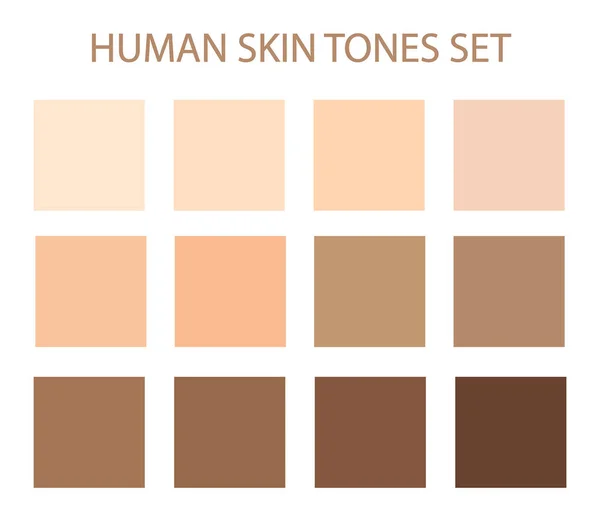 Palette de couleurs beige — Image vectorielle