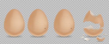 Kırık yumurta seti