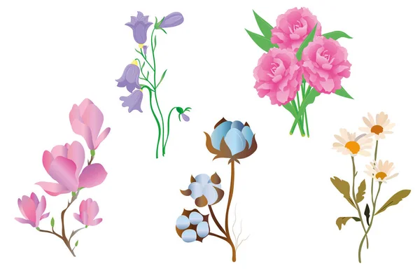 Buquês Ilustração Vetorial Flores Conjunto Diferentes Belos Buquês Com Jardim —  Vetores de Stock