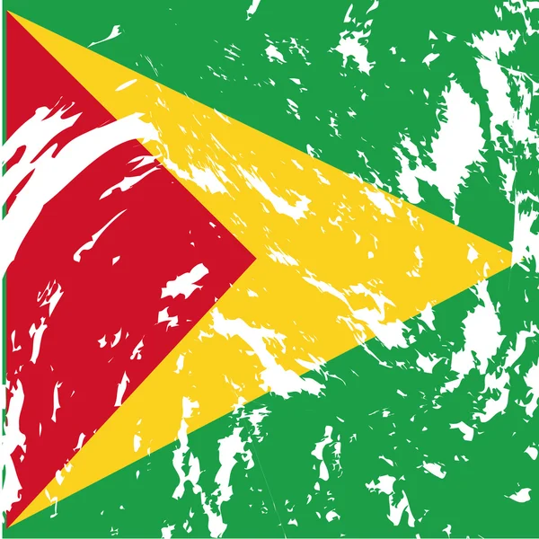 Guyana — Vector de stock