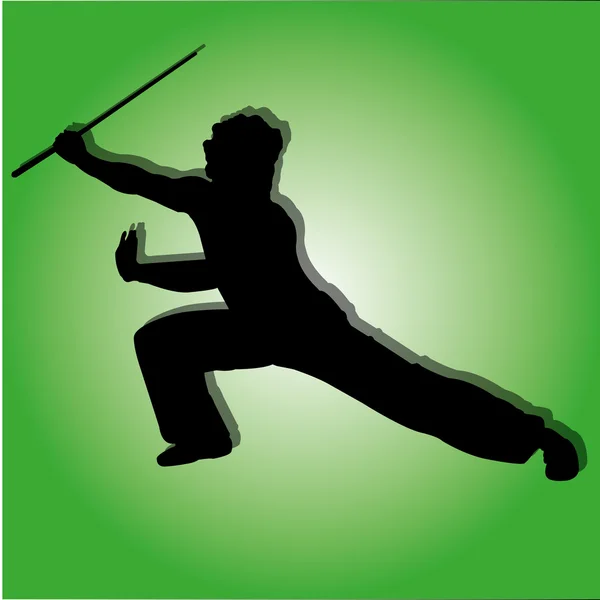 Kung-fu. — Image vectorielle