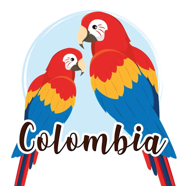 Pareja de loros tropicales de colores Colombia Vector — Vector de stock