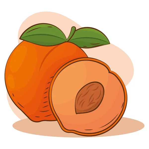 Isolated peach color sketch vector illustation — Vector de stock