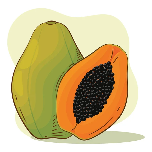 Isolated papaya color sketch vector illustation — стоковый вектор
