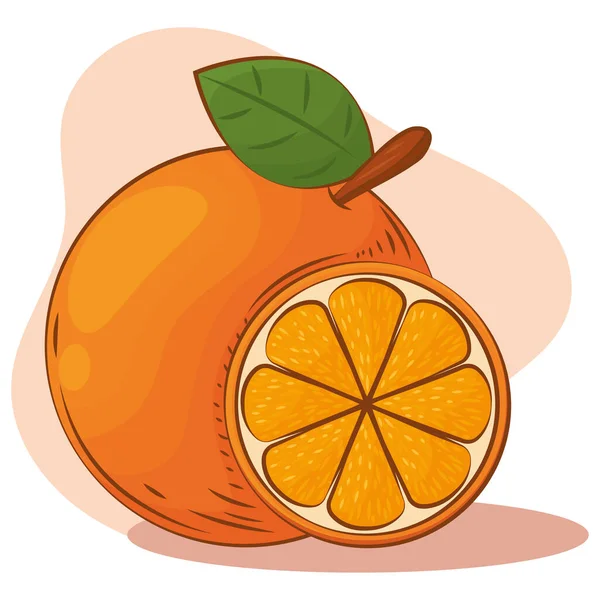 Izolowane pomarańczowy kolor szkic wektor iluzja — Wektor stockowy