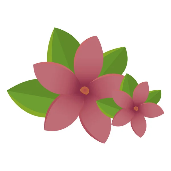 Isolated pink flowers spa vector illustration — 스톡 벡터