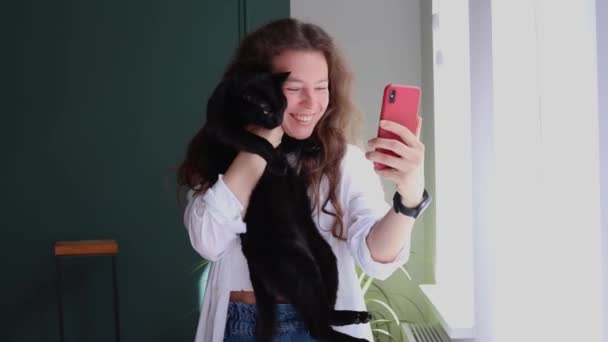 自宅の窓の近くに立って ビデオ通話のための携帯電話を使用して黒いペット猫を保持する幸せなヒスパニック系の女性 ソーシャルメディアでのデータ共有 友人との仮想遠隔通信のためのアプリの使用 — ストック動画