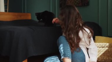 Attractive brunette caucasian pick up black cat, hugging and enjoying sunny weekend time with lovely pet sitting near bed in appartment. Little best friends. Happy domestic animals at home. 4k footage
