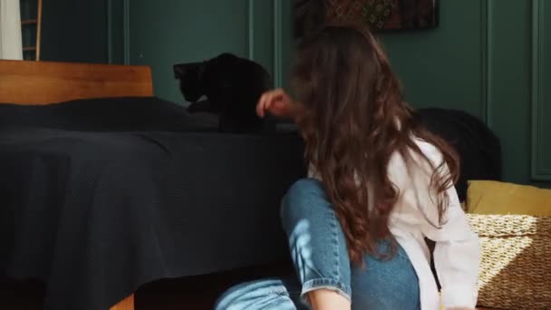 Ελκυστική Μελαχρινή Καυκάσιος Pick Μαύρη Γάτα Αγκαλιάζει Και Απολαύσετε Ηλιόλουστο — Αρχείο Βίντεο