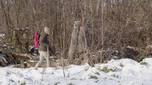 Wędrowanie Parą Starszych Wsi Starzy Ludzie Wędrują Zimą Śniegiem — Wideo stockowe