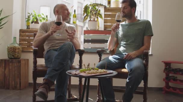 Two People Talking Drinking Red Wine — Stockvideo