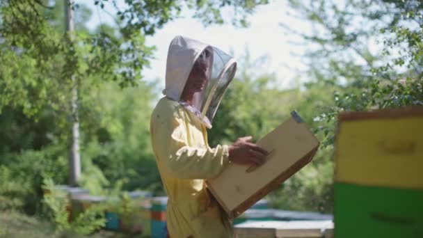 Пчеловоды Работающие Над Ульями Полевые Работы Производству Меда — стоковое видео