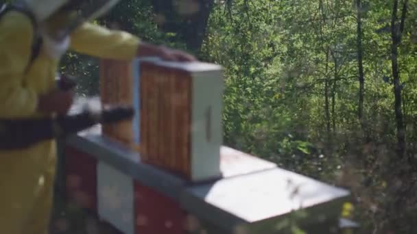 Beekeepers Working Bee Hives Fieldwork Honey Production — Stok video