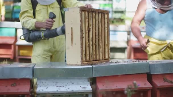 Beekeepers Remove Honey Bees Hive Blower — Stock Video