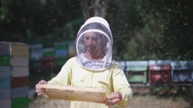 beekeeper extracting and checking the honeycomb in the bee hive