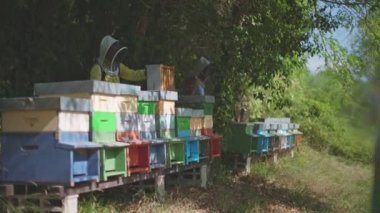 beekeepers collecting honey by extracting bees with the blower and smoke