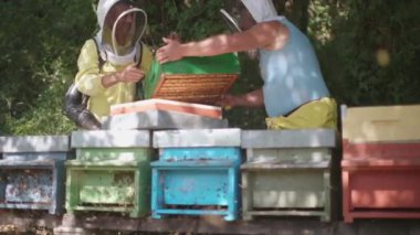 beekeepers collecting honey by extracting bees with the blower and smoke