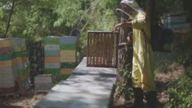 bees are blown out of the hive with a blower - honey is stacked for processing on the firm - beekeepers at work outdoors