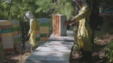 bees are blown out of the hive with a blower - honey is stacked for processing on the firm - beekeepers at work outdoors