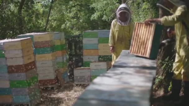 Bees Blown Out Hive Blower Honey Stacked Processing Firm Beekeepers — 图库视频影像