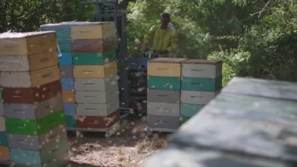 Transporting Hives Forklift Transport Factory — Stock Video