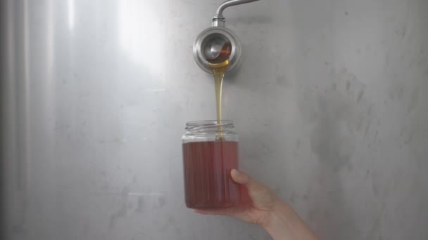 Manual Filling Honey Jar Silo Honey House Industrial Honey Production — Video Stock