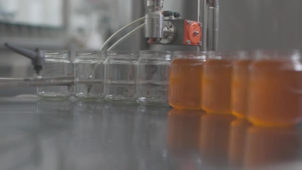 Industrial Machine Honey Production Filling Jars Honey — Αρχείο Βίντεο
