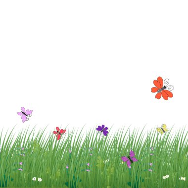 Beyaz arka plan ile çim ve kelebekler, yaprak, çiçek