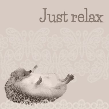 mizahi bir poster. Kirpi aittir.