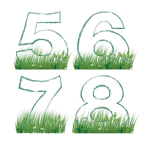 Numbers of the alphabet in the grass — Stock Vector