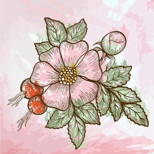 Приглашение, приветствие с полевыми цветами роз — стоковый вектор